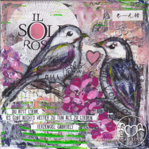 il_sole_rosa il sole rosa, Valentinstag
